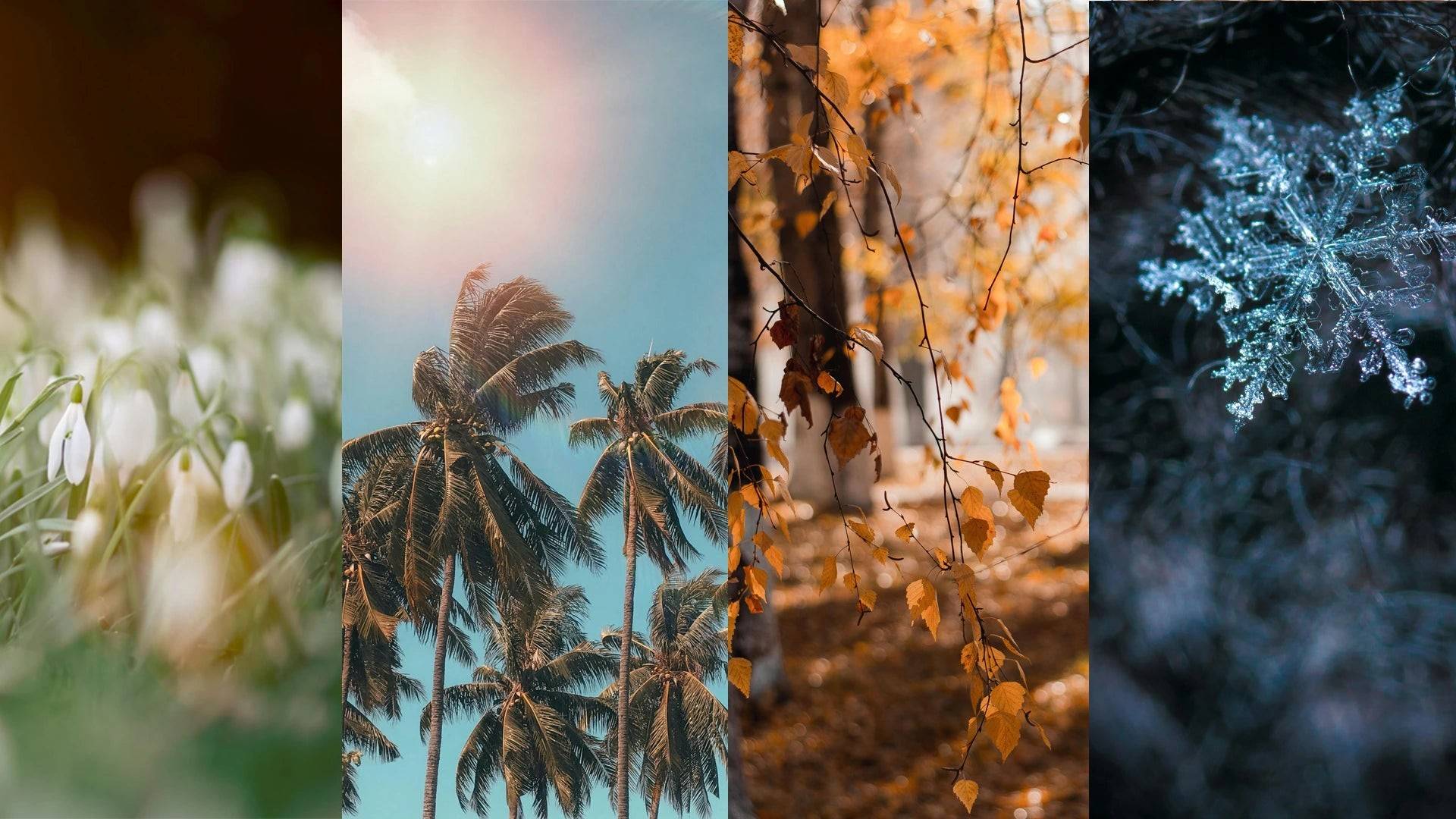 ¿Cuál es la Mejor Época para Viajar a Europa?